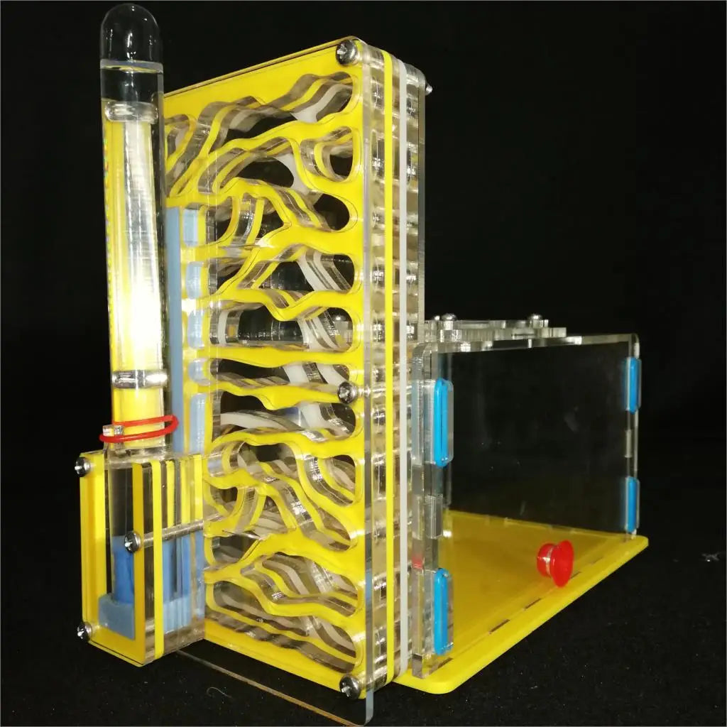 DIY Ant Nest With Feeding Area Ant Villa Farm Acryl