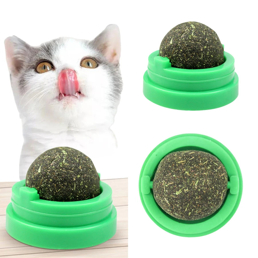 Spinning Catnip Mint Ball for Cats, Interactive Dental Care Chew Toy