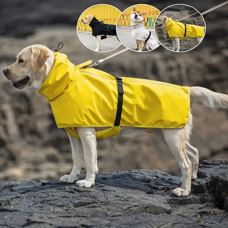 Medium And Large Labrador Golden Retriever Corgi Outdoor  With Strip Reflective