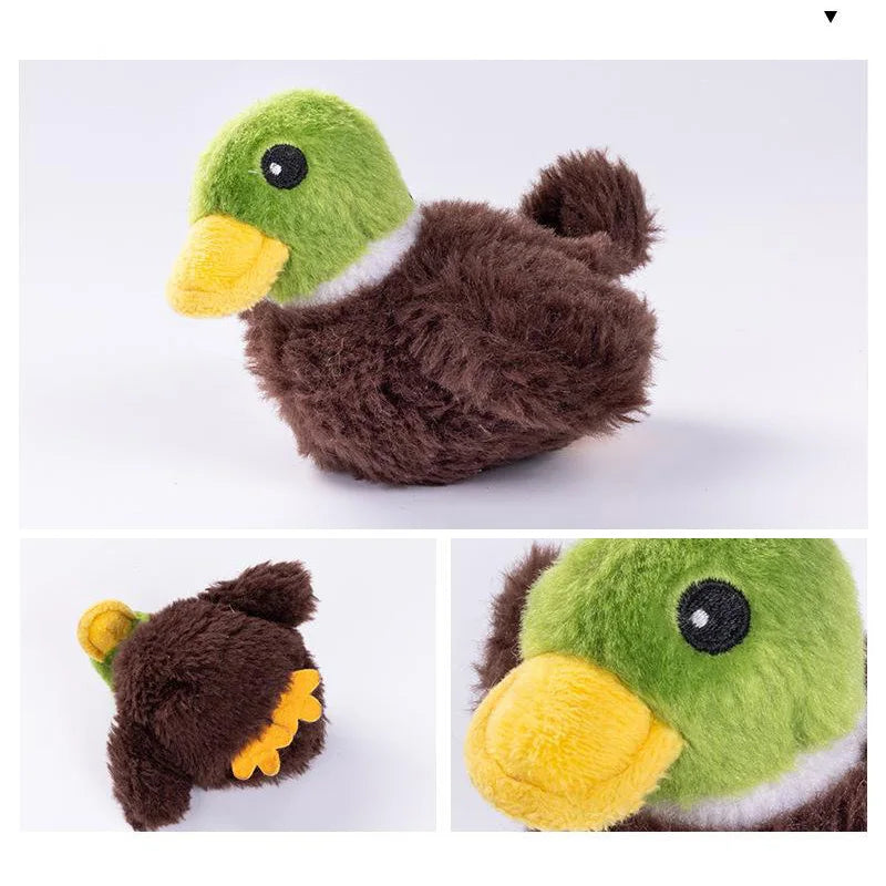 Interactive Cat Toys Rechargeable Flying Bird Cat Toy  Can Add Catnip Touch Activated Plush Toy