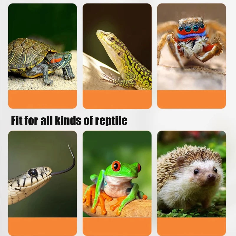 220V Turtle Basking Lamp With 25\50\75W UVA+UVB Full Spectrum Sun Lamp