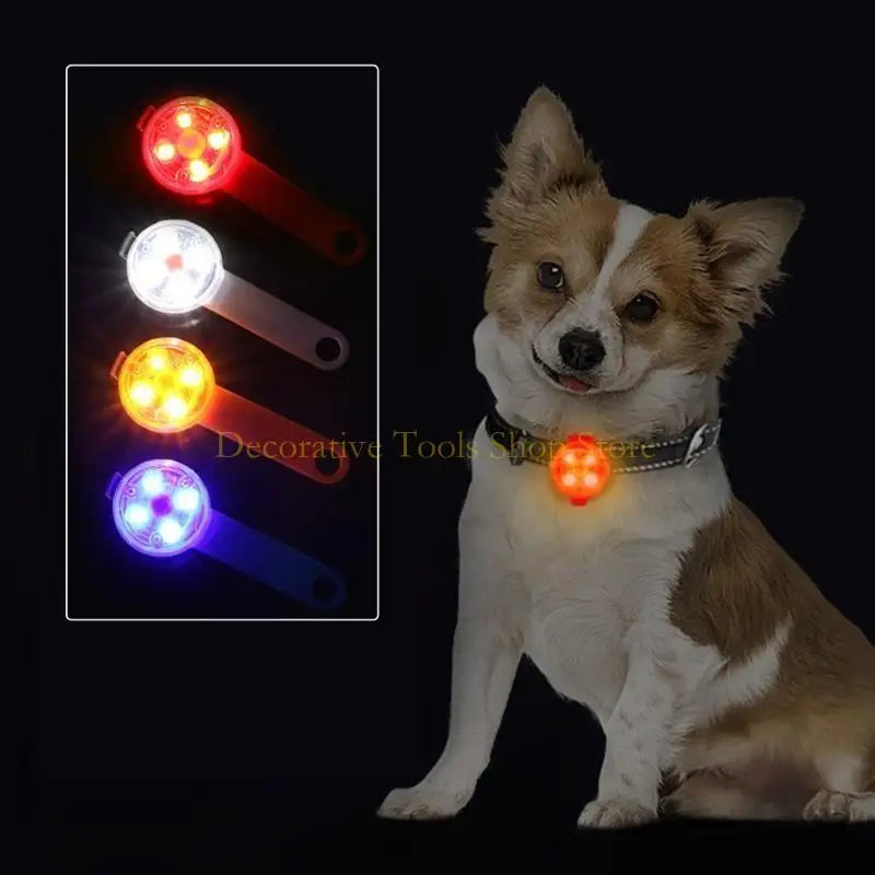 Dog LED Light Collar Light