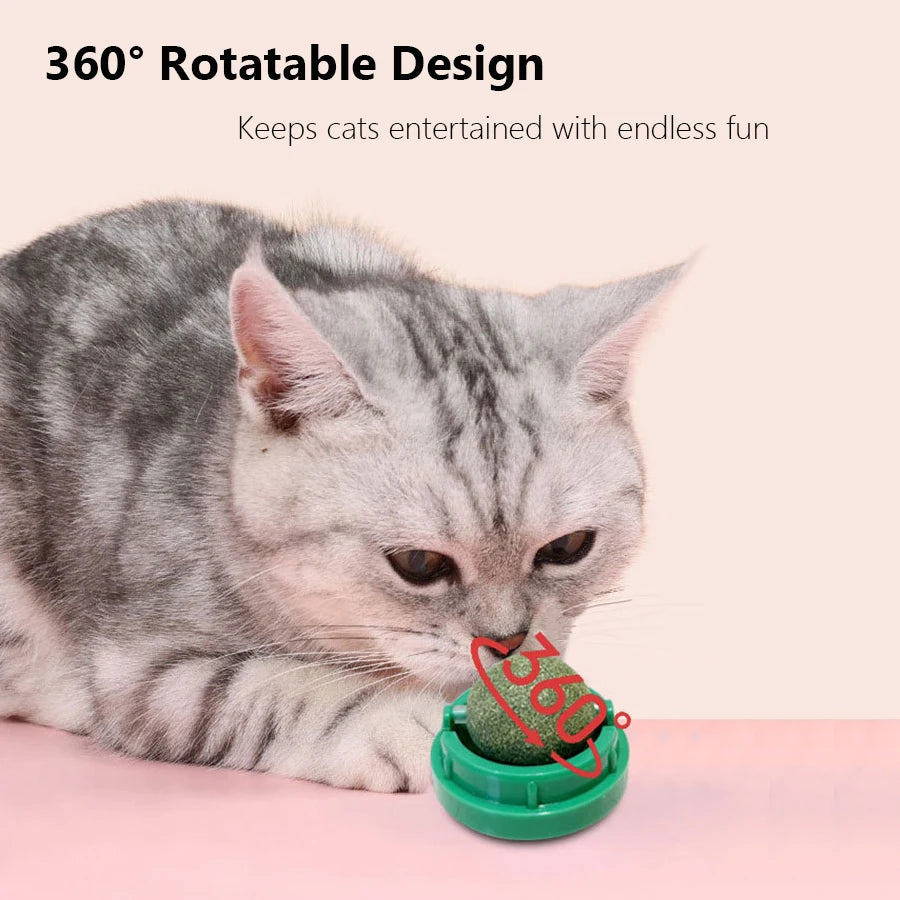 Spinning Catnip Mint Ball for Cats, Interactive Dental Care Chew Toy