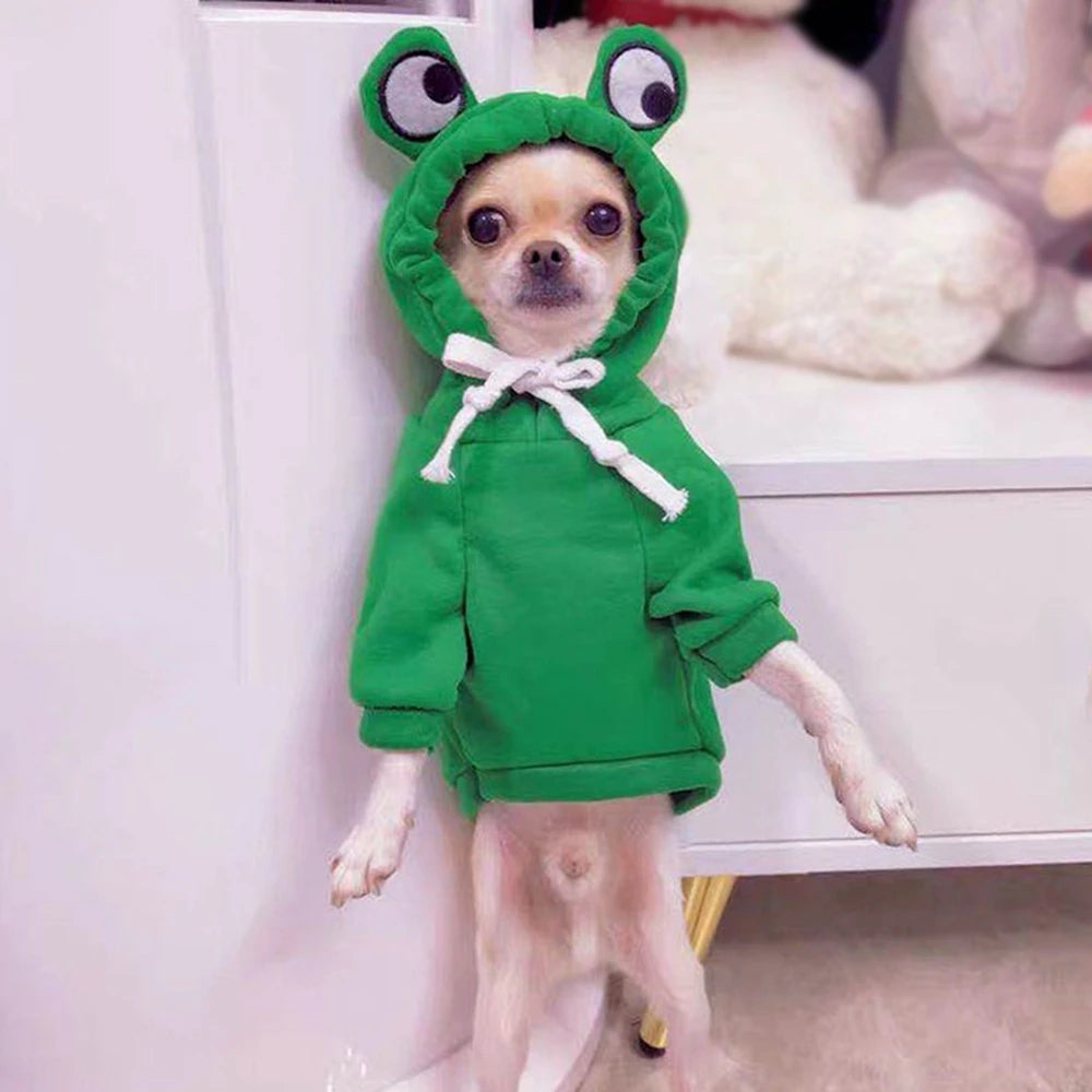 Cute Fruit Dog Clothes for Small Dogs Hoodies