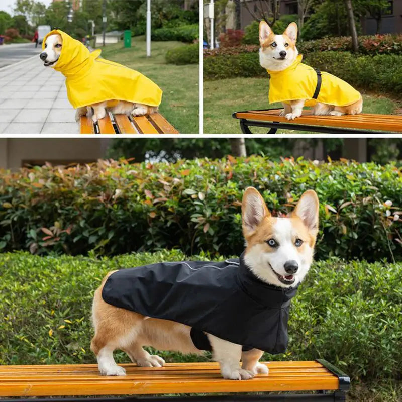 Medium And Large Labrador Golden Retriever Corgi Outdoor  With Strip Reflective