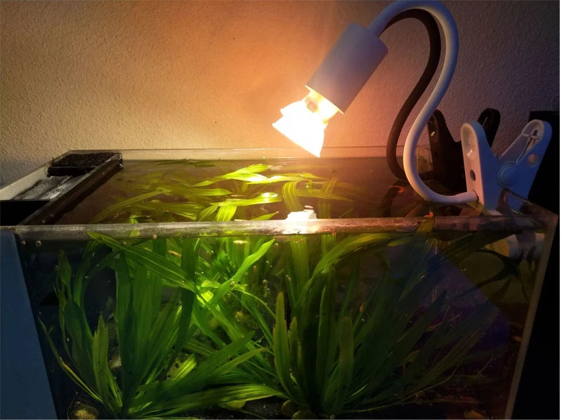 220V Turtle Basking Lamp With 25\50\75W UVA+UVB Full Spectrum Sun Lamp