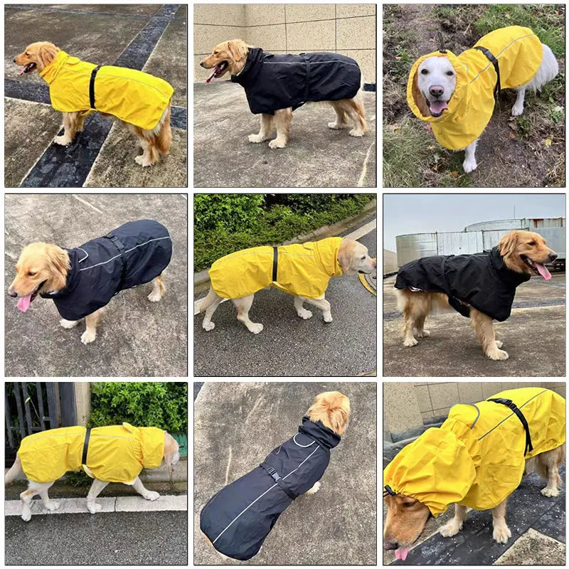 Medium And Large Labrador Golden Retriever Corgi Outdoor  With Strip Reflective