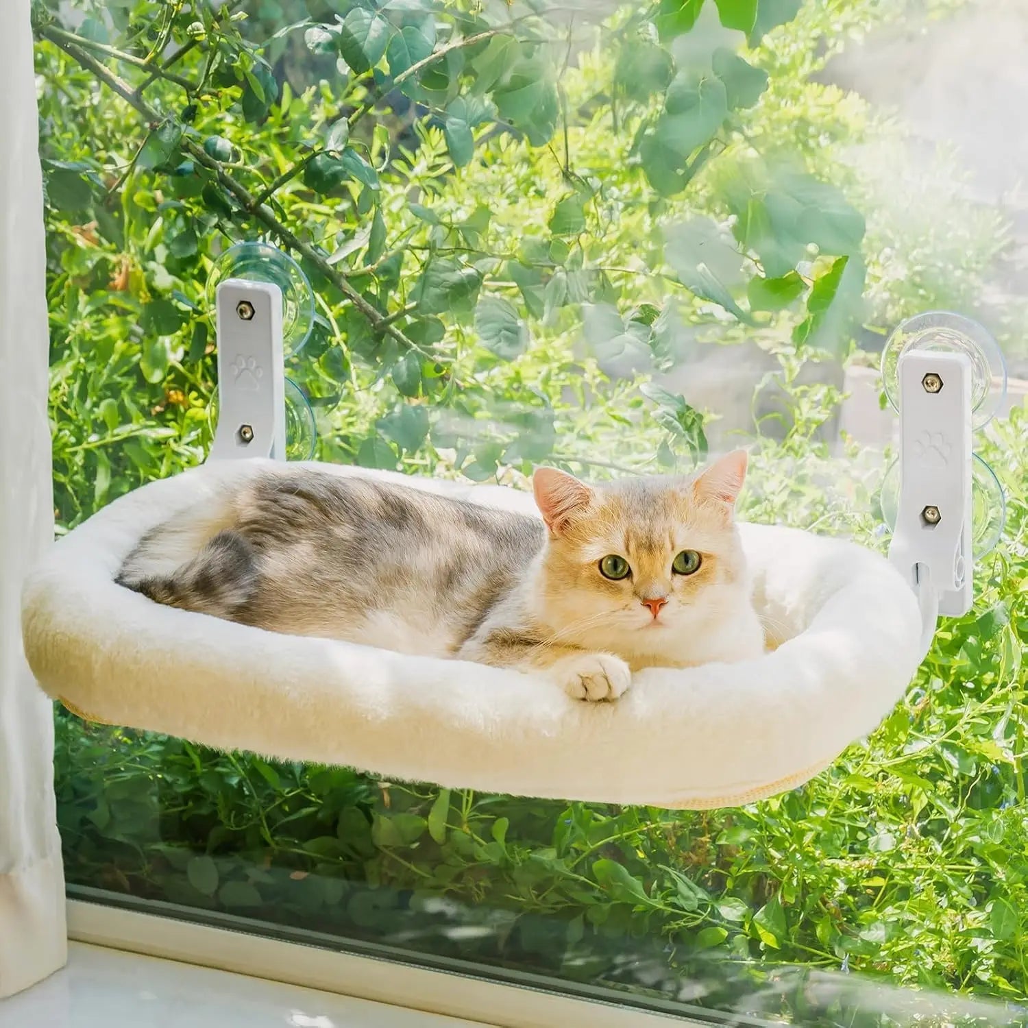 Mewoofun Foldable Cat Window Perch  Cat  White Brown Green