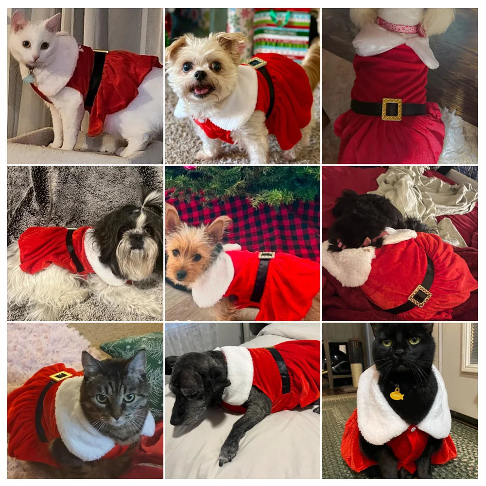 Cute Pet Dresses For Christmas Cosplay Dog Princess Skirt For Small Medium Dogs Cats Kitten Soft Cozy Pets Dresses Kitty Costume