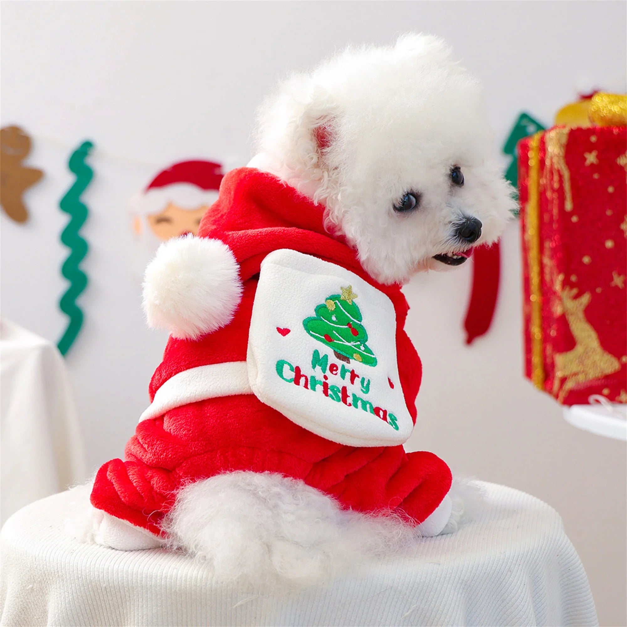 Festive Dog Costume