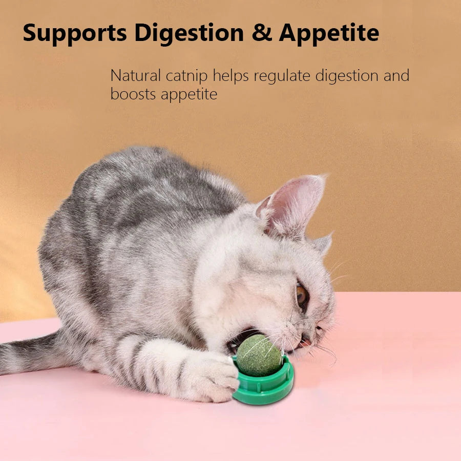 Spinning Catnip Mint Ball for Cats, Interactive Dental Care Chew Toy