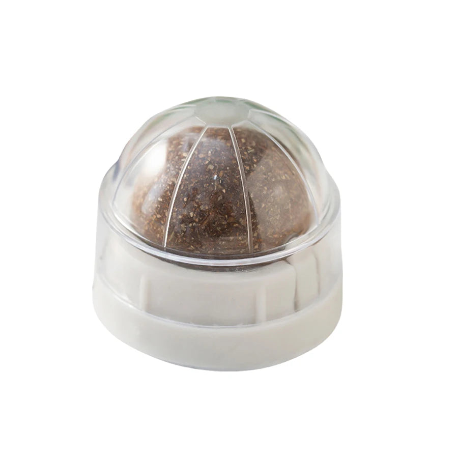 Spinning Catnip Mint Ball for Cats, Interactive Dental Care Chew Toy