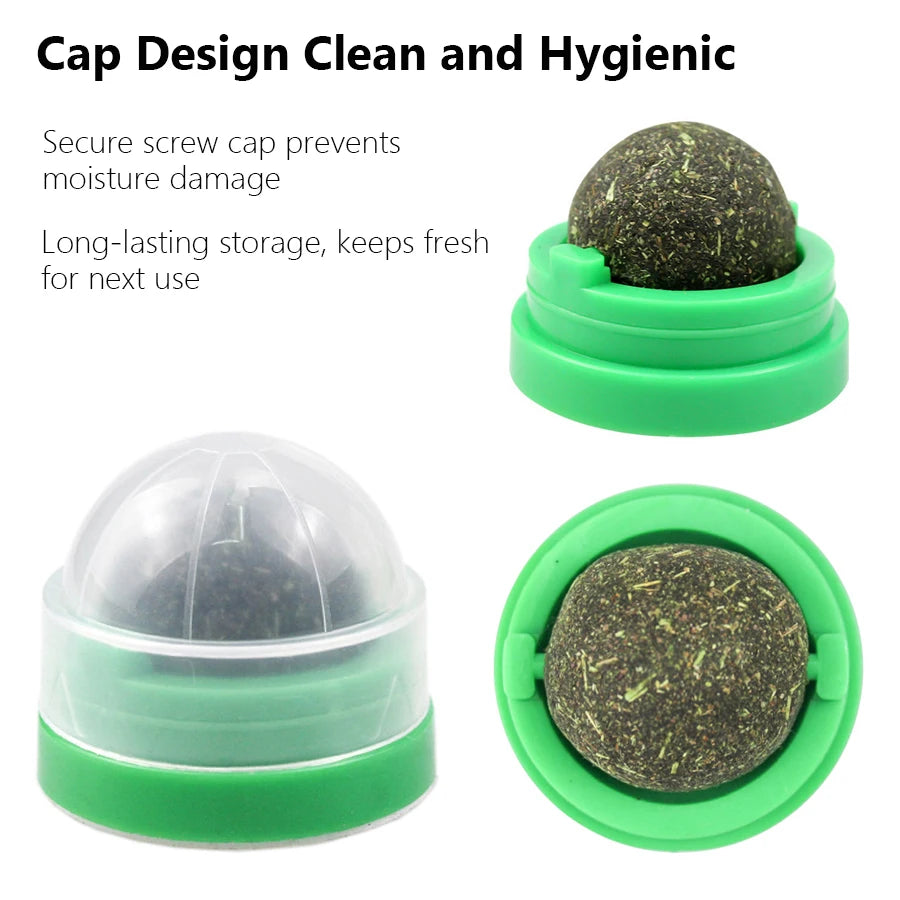 Spinning Catnip Mint Ball for Cats, Interactive Dental Care Chew Toy