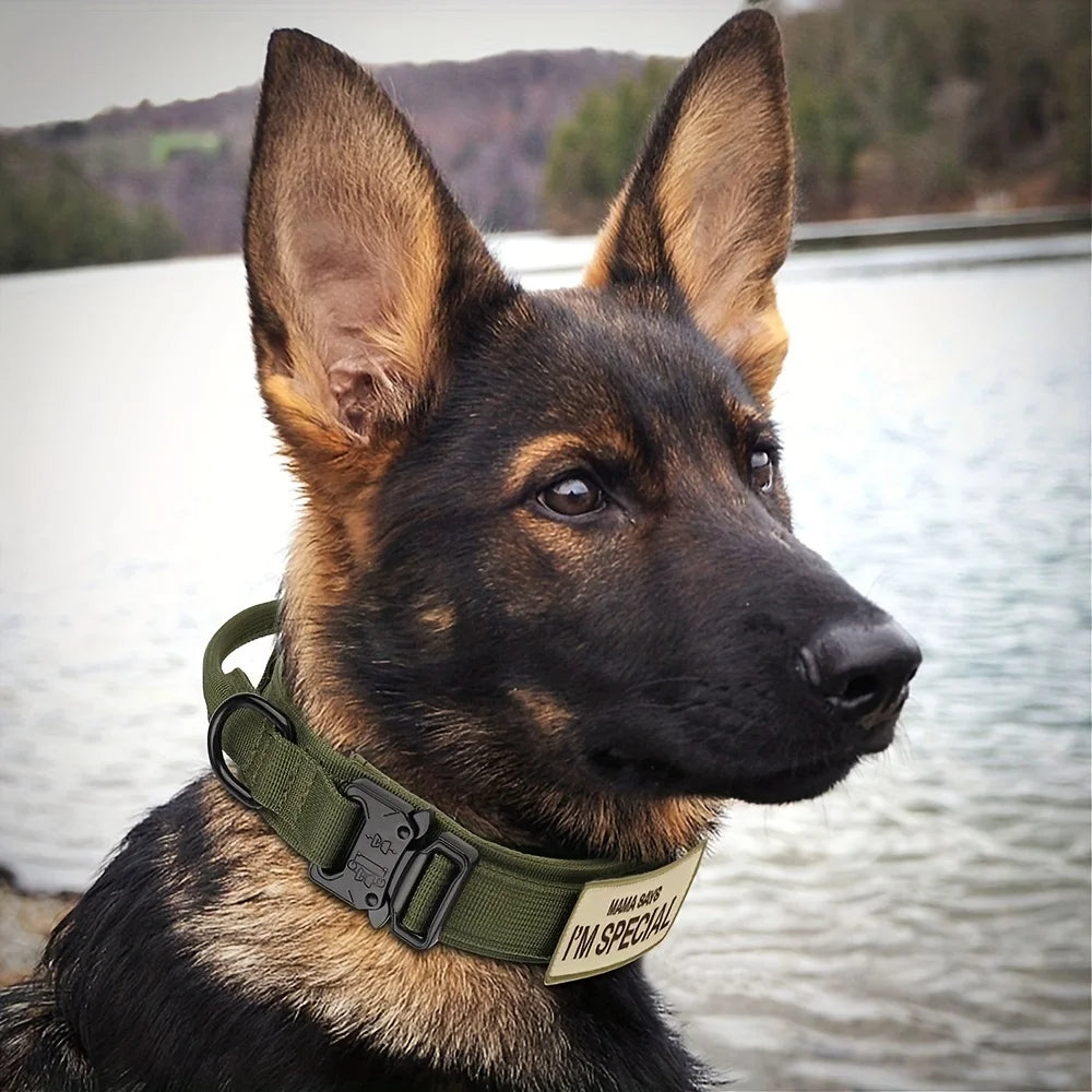 Handle Military Collar with Patch Outdoor Training and Walking for Medium and Large Dogs