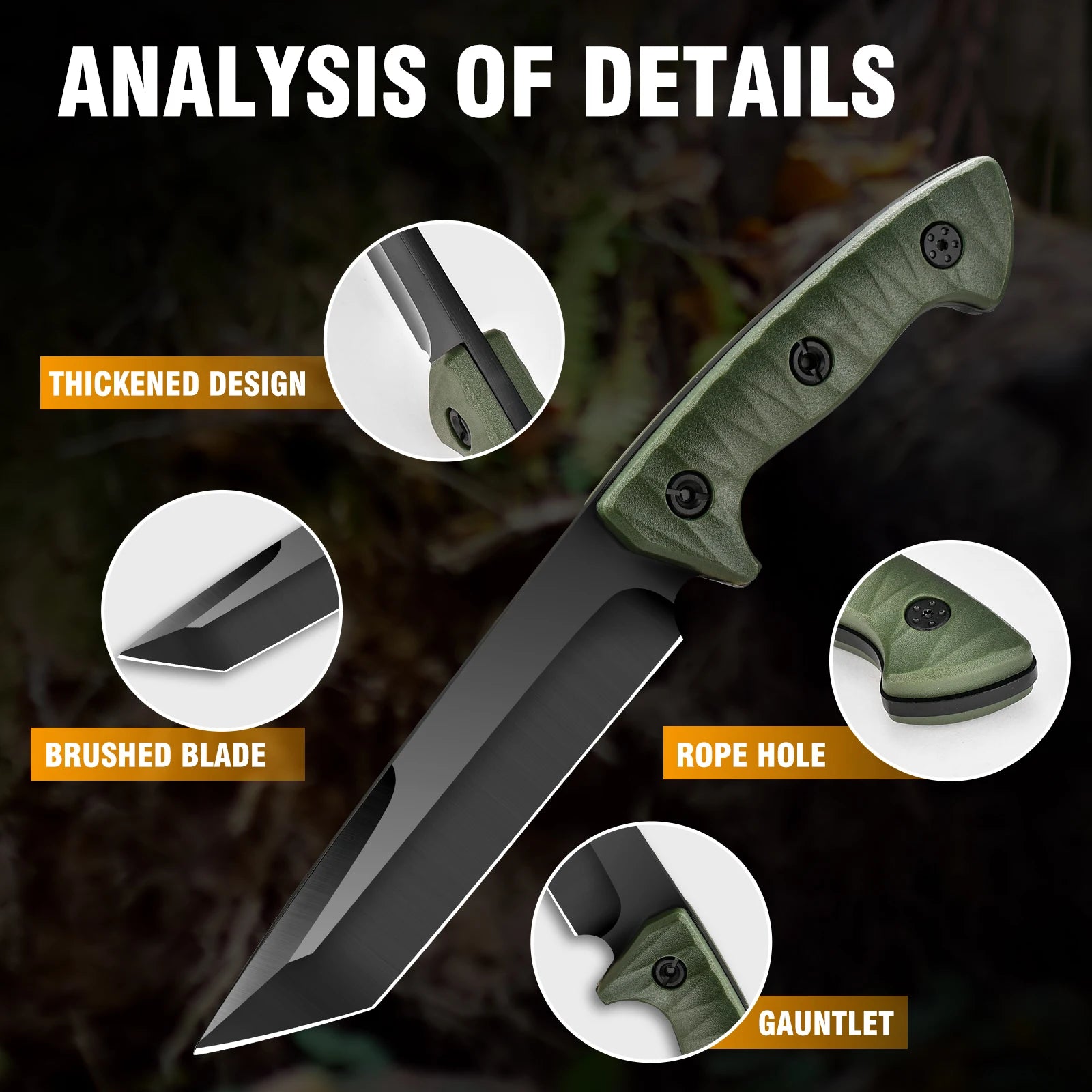 Rainforest Survival Knife - Lightweight, Stainless Steel with Wooden Handle & Spear