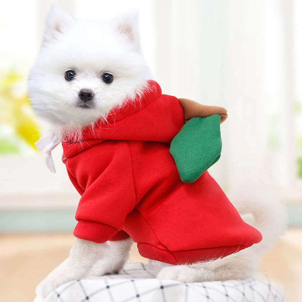Cute Fruit Dog Clothes for Small Dogs Hoodies